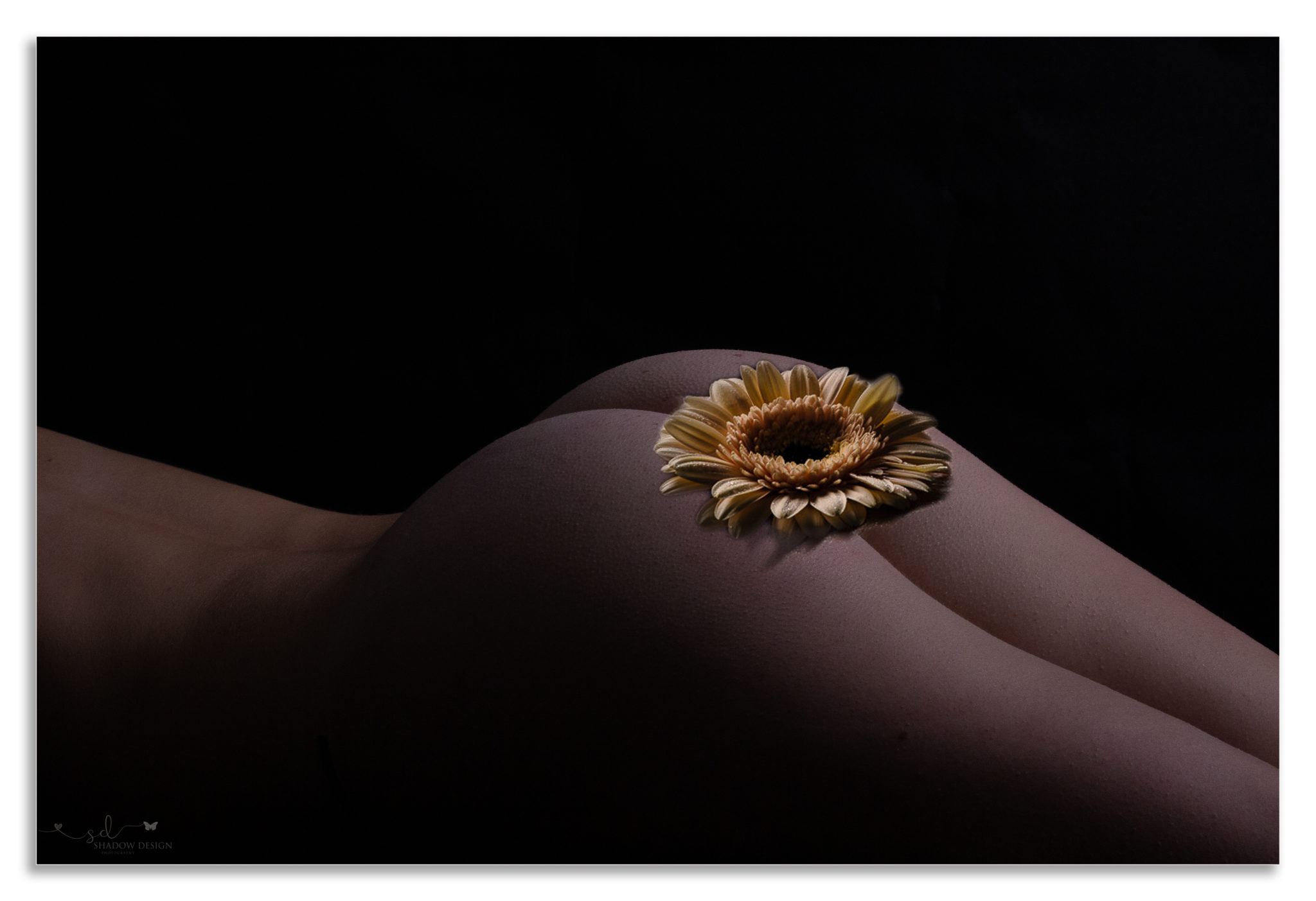 Svenja November 277 Bearbeitet 2048x1403 Kopie